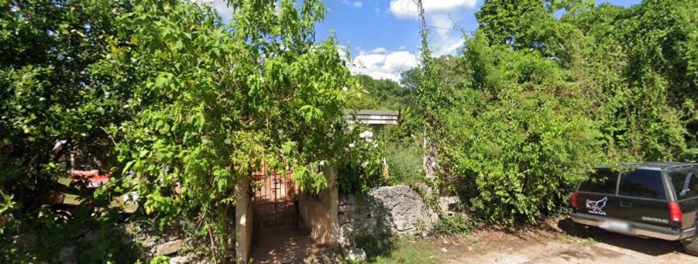 Aviario Jimenez Tizimin Travel Forum Reviews