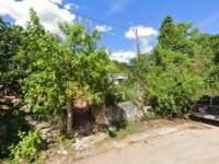 Aviario Jimenez Tizimin Travel Forum Reviews