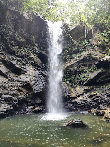 Avocat Waterfall