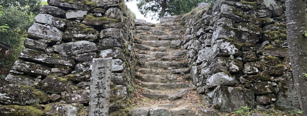 Awa Ichinomiya Castle Ruins Travel Forum Reviews