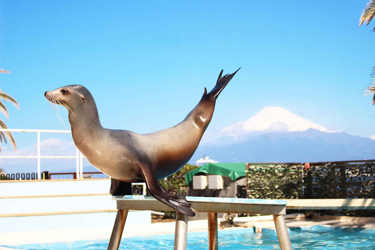 Awashima Marine Park