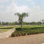 Ayiafrica