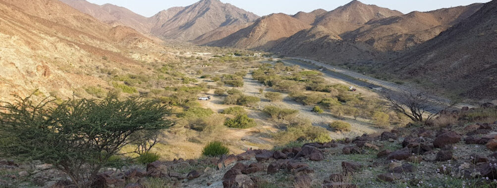 Ayn ul ghamur blossom valley Travel Forum Reviews