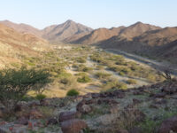 Ayn ul ghamur blossom valley Travel Forum Reviews