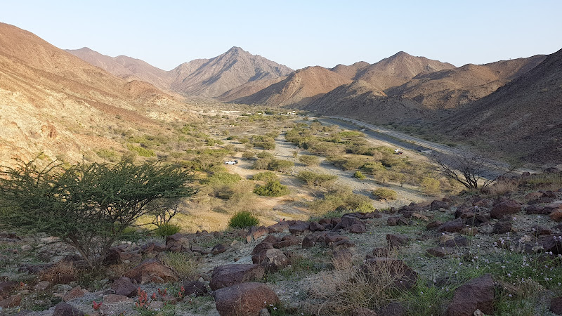 Ayn ul ghamur blossom valley