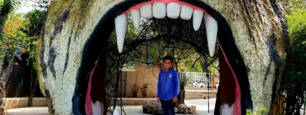 Ayub National Park Travel Forum Reviews