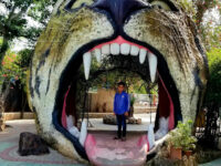 Ayub National Park Travel Forum Reviews