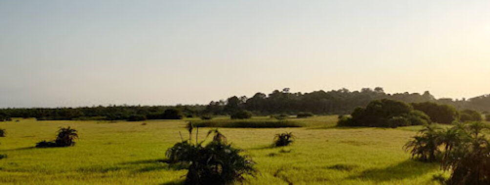 Azagny National Park Travel Forum Reviews