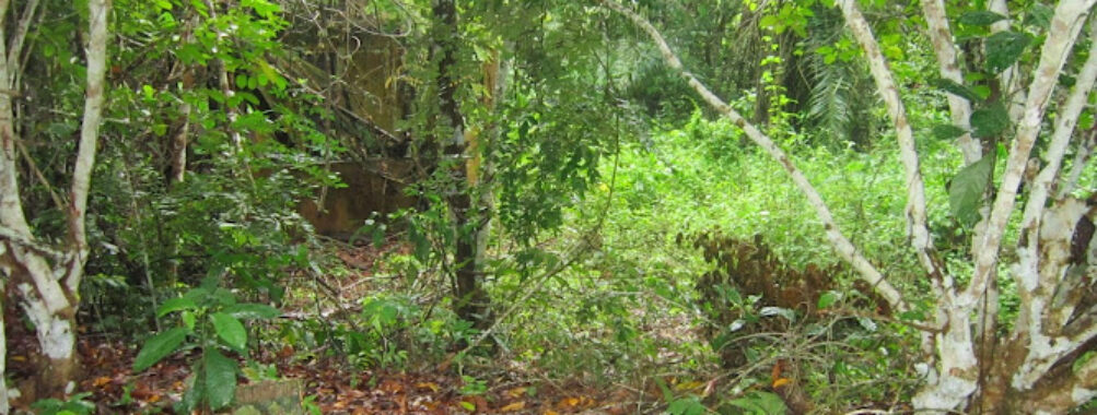 Azagny National Park Travel Forum Reviews
