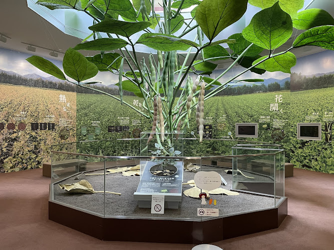 Azuki Museum