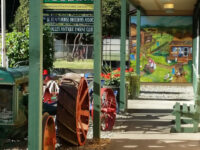 BC Farm Museum Travel Forum Reviews