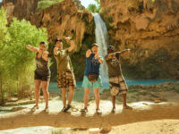 BG Wild Travel Forum Reviews