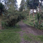 BUHANGA ECO-PARK
