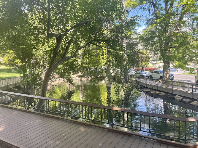 BYU Botany Pond