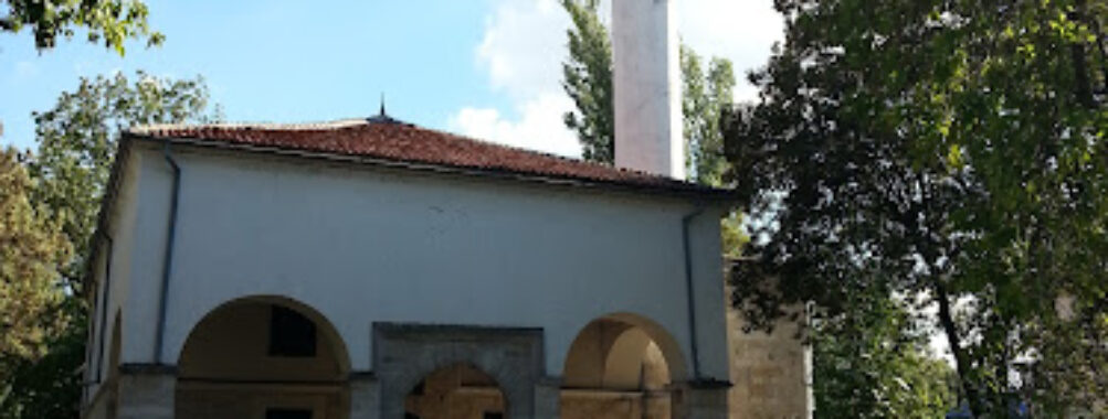 Baba Vida Fortress Travel Forum Reviews