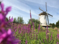 Babbersmolen Travel Forum Reviews