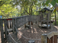 Backyard Discovery Gardens Travel Forum Reviews
