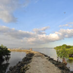 Bacoor Pulo