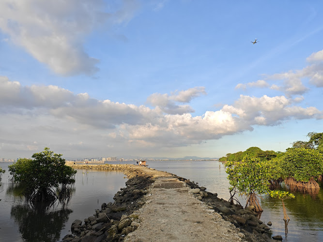 Bacoor Pulo