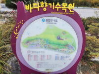 Badahyanggi Arboretum Travel Forum Reviews