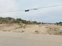 Bado de aguajitos Travel Forum Reviews