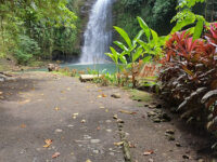 Baga Falls Travel Forum Reviews