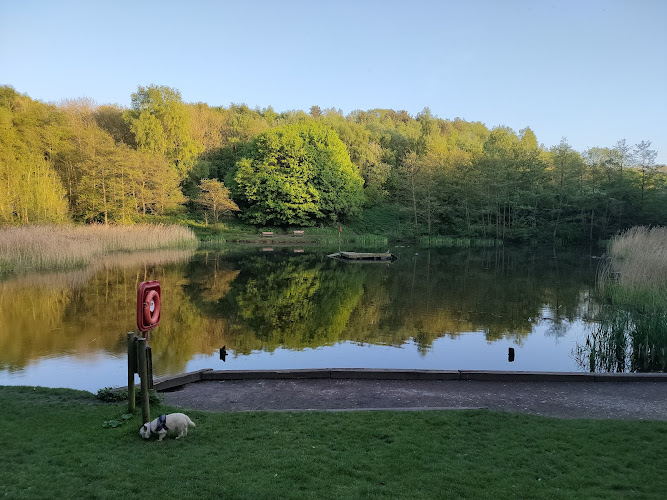 Baggeridge Country Park