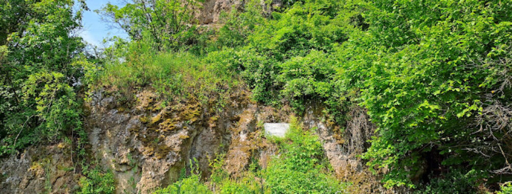 Baglyaskő Castle Nature Reserve Visitor Center Travel Forum Reviews