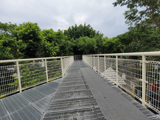 Bagua Mountain Skywalk