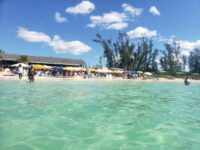 Bahamas Adventures Freeport Travel Forum Reviews