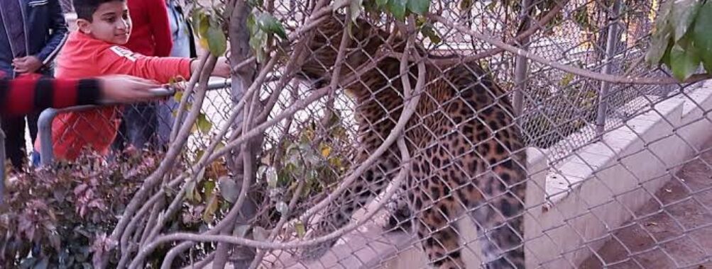 Bahria Enclave Zoo Travel Forum Reviews