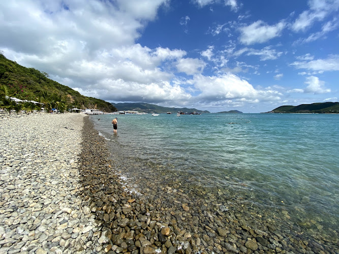 Bai Tranh Beach