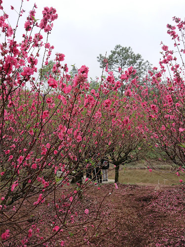 Baishuidai Park
