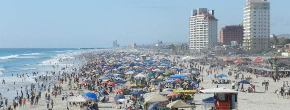 Baja California Travel Forum Reviews