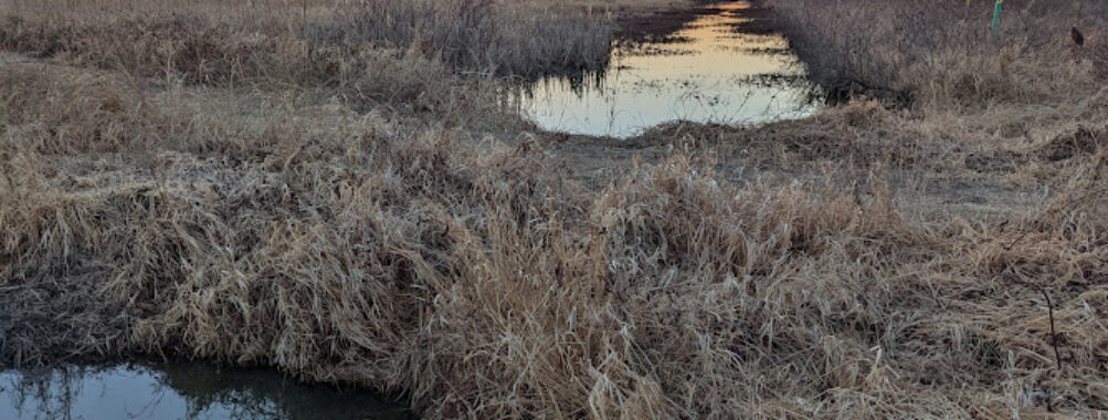 Baker University Wetlands Travel Forum Reviews