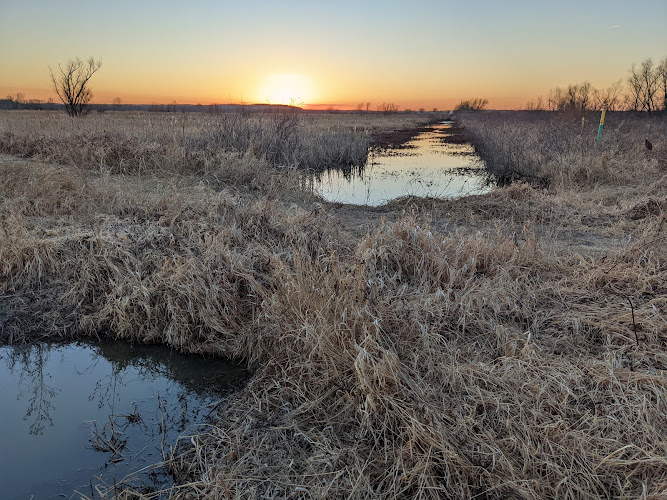 Baker University Wetlands