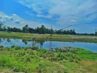 Bakshiganj Travel Forum Reviews