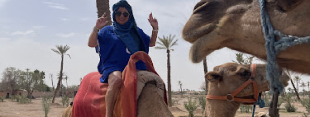 Balade chameau marrakech Travel Forum Reviews