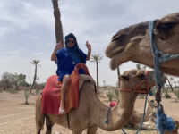Balade chameau marrakech Travel Forum Reviews