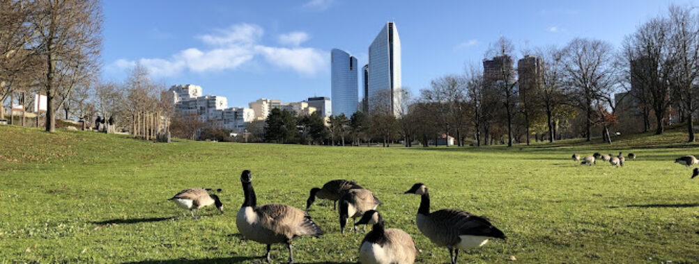 Balade parc André-Malraux Travel Forum Reviews