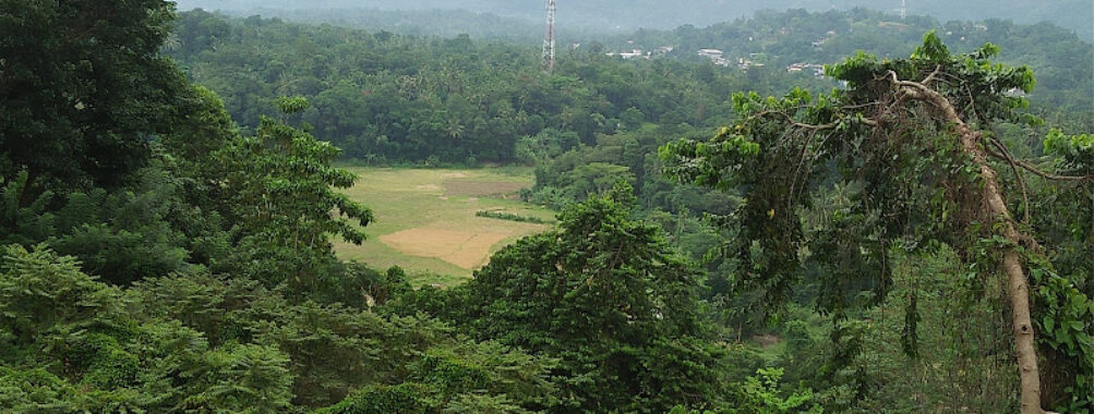 Balakaduwa Ella Travel Forum Reviews
