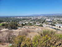 Baldwin Hills Scenic Overlook Travel Forum Reviews