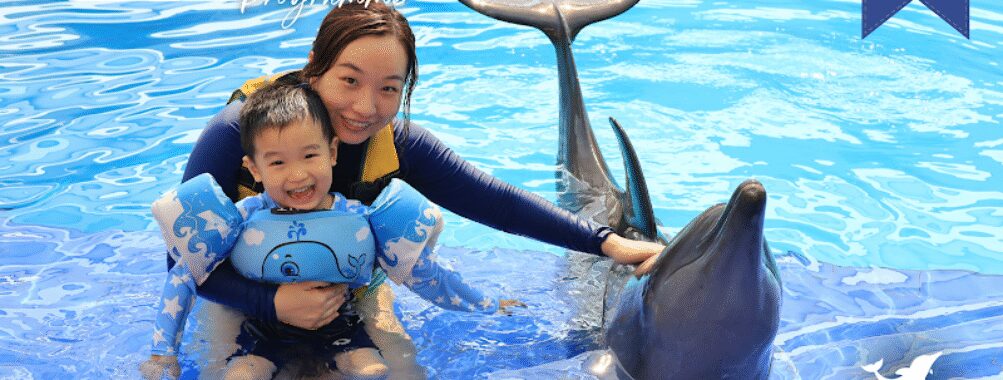 Bali Exotic Marine Park Travel Forum Reviews