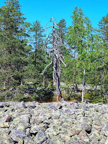 Bälingeberget