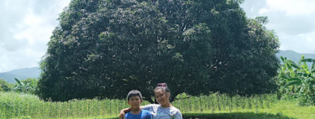 Balinmanok Travel Forum Reviews
