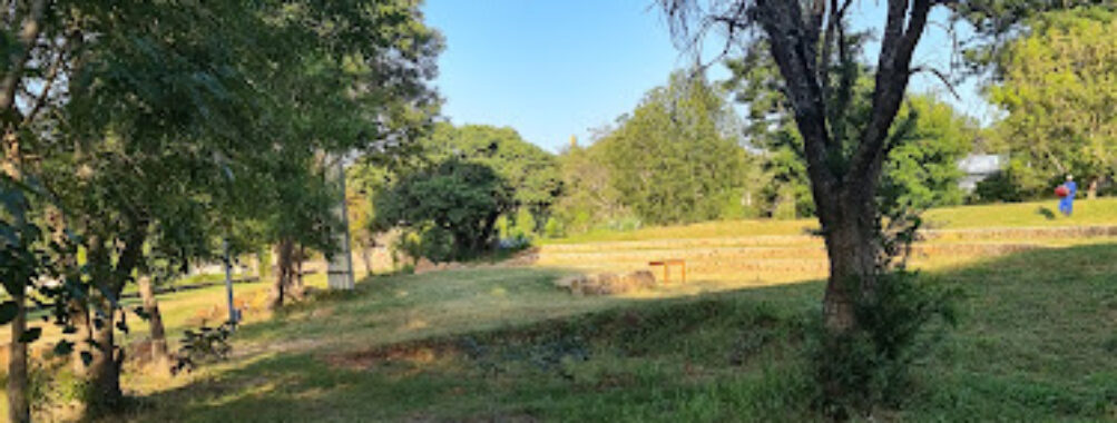 Ballantyne Park Conservancy Travel Forum Reviews