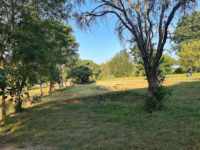 Ballantyne Park Conservancy Travel Forum Reviews