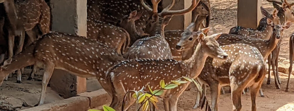 Ballavpur Wildlife Sanctuary Travel Forum Reviews