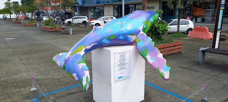Ballenas en Movimiento