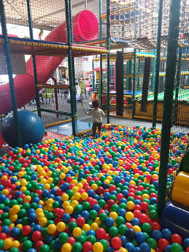 Ballorig Vlaardingen